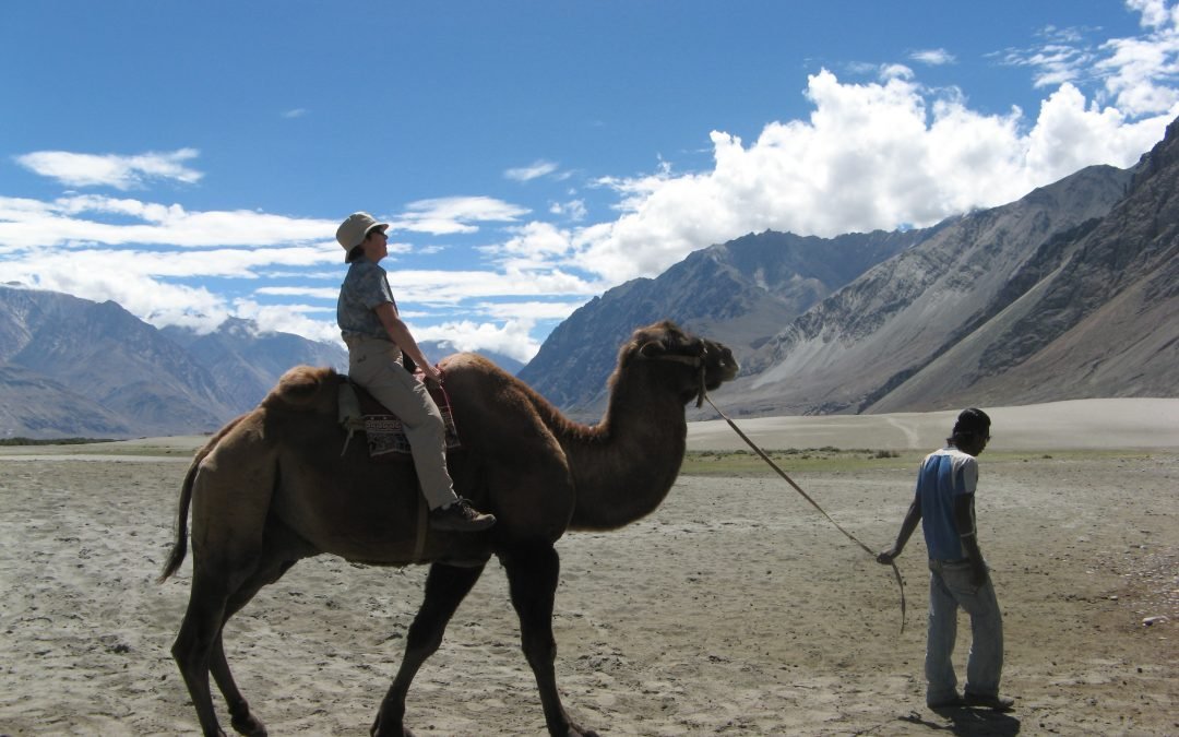 Nubra Valley in Ladakh is one of the most beautiful valleys in Himalayas
