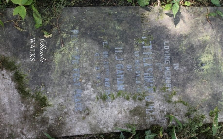 Grave of Mary Margarate Gahan in a cemetery in Shimla.