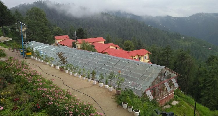 Coutts Garden in Shimla